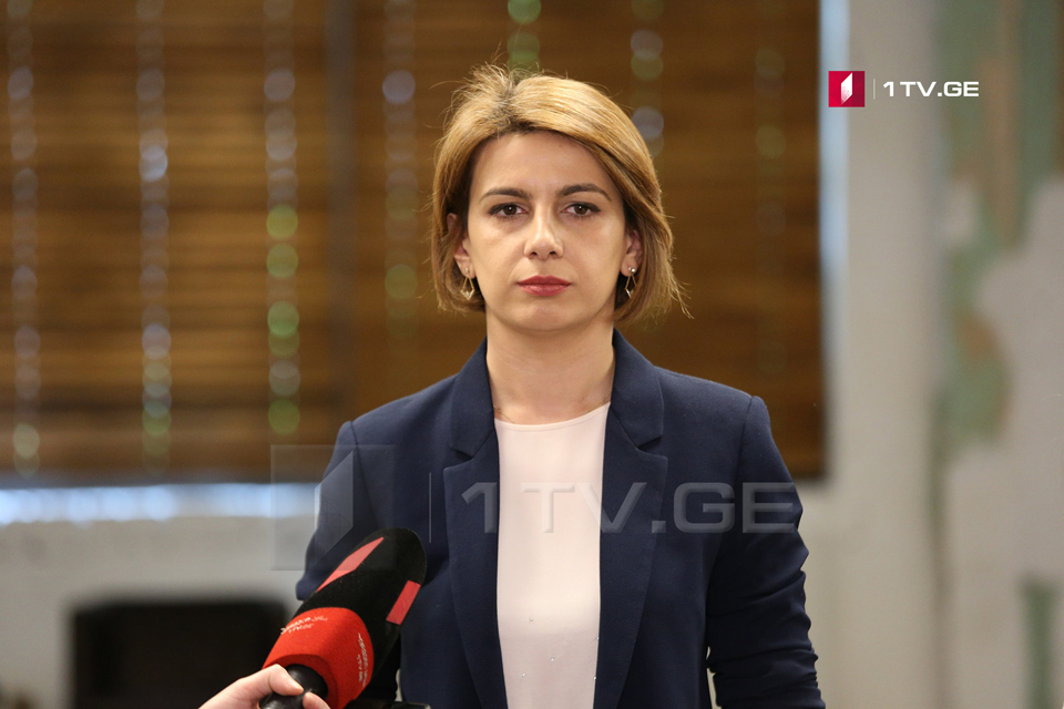 Tamar Chugoshvili: All political forces are invited to the '2020 Proportional Elections' presentation