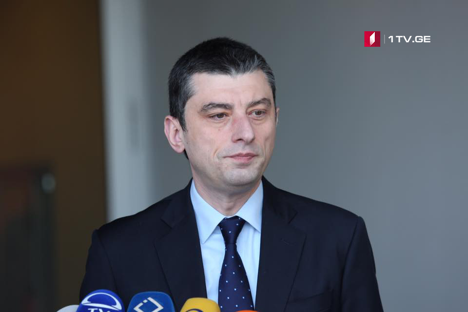 Георгий Гахария - Бидзина Иванишвили узнал о событиях 20 июня на следующий день