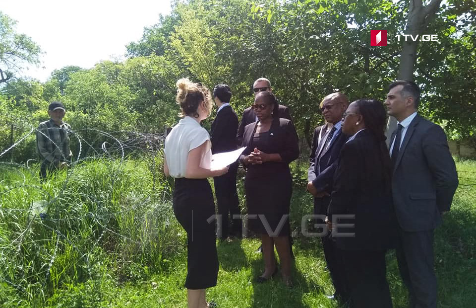 Министр иностранных дел Ботсваны посетила село Хурвалети