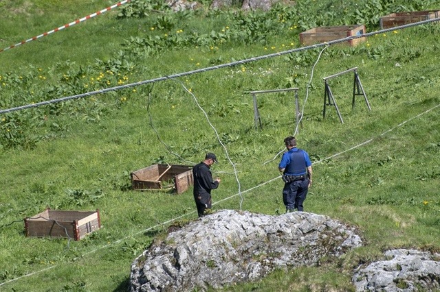 В Швейцарии во время ремонта канатной дороги погиб один рабочий, шестеро пострадали