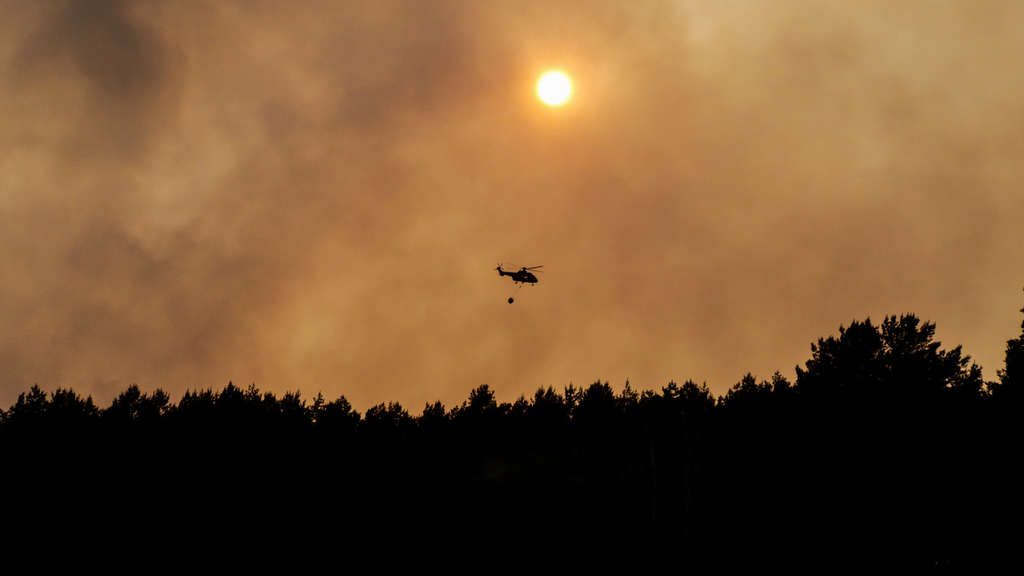 Более 600 га земли было уничтожено в результате лесного пожара в Германии