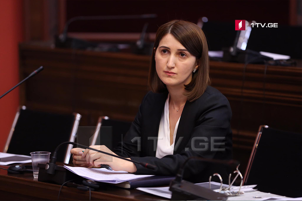 Парламентский комитет по защите прав человека поддержал кандидатуру Лонды Толорая на должность Государственного инспектора