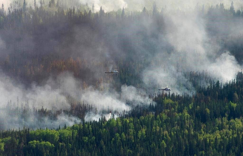 Более девяти тысяч человек эвакуированы из-за лесных пожаров в Канаде