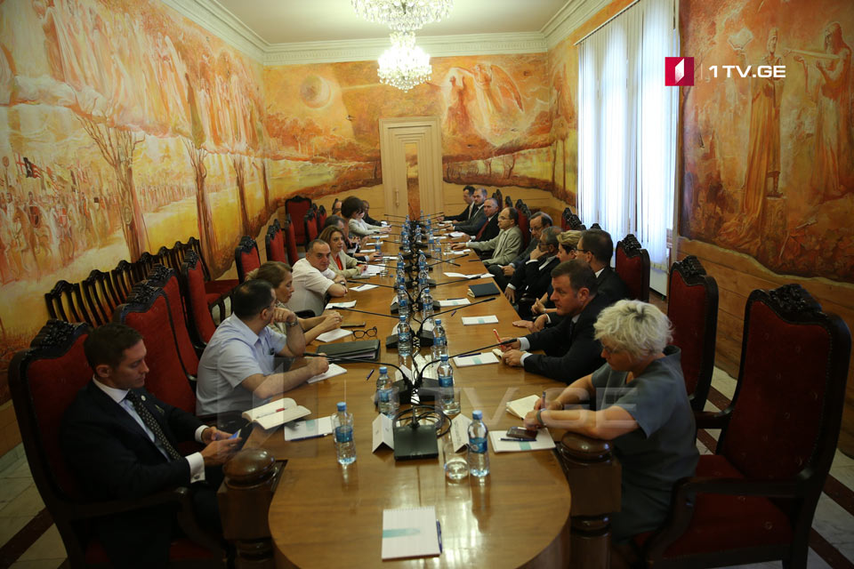 "National Movement" members hold meeting with the diplomatic corps