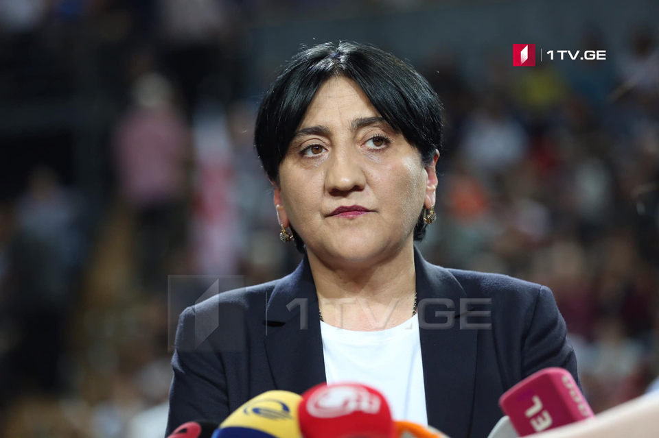 Irma Inashvili: It would be good if meetings with diplomats result in positive agreement