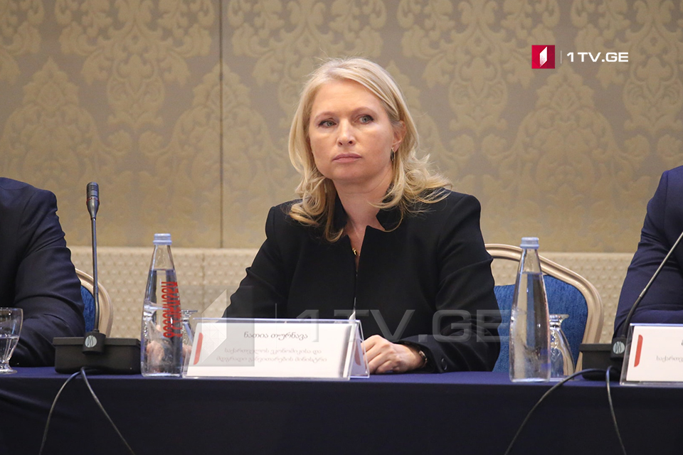 Natia Turnava: Credit guarantee system will be completely switched to the tourism industry and hotel business