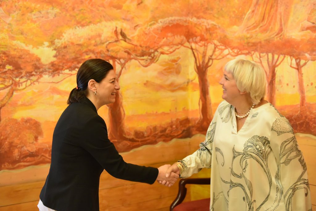 Софо Кацарава встретилась с вице-президентом Бундестага Клаудией Рот