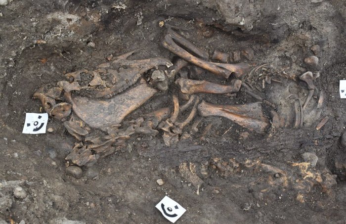 Viking Boat Grave and Skeletons Unearthed in Sweden