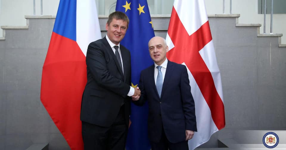 Давид Залкалиани встречается с министром иностранных дел Чехии Томашем Петршичеком