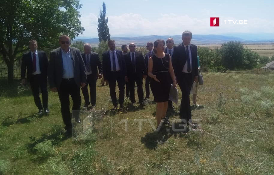 Министр иностранных дел Чехии прибыл в село Хурвалети