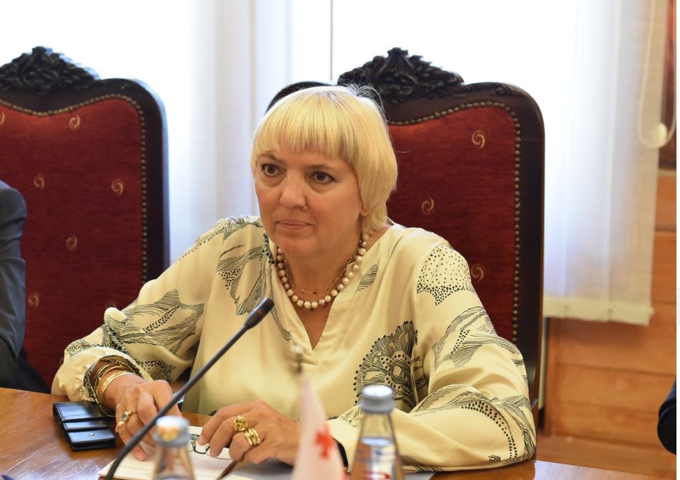Claudia Roth:  I do not want to close the door for Georgia and say that the Association Agreement is enough, prospect should exist