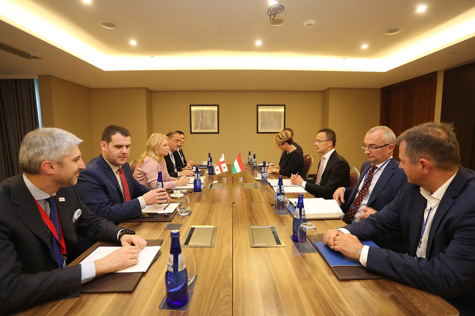 Натия Турнава встретилась с министром иностранных дел и торговли Венгрии