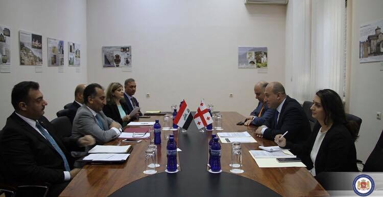 Заместитель министра иностранных дел Грузии встретился со своим иракским коллегой