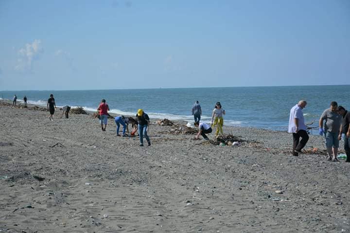 Cleaning activity at Kolkheti Park territory and Anaklia seashore