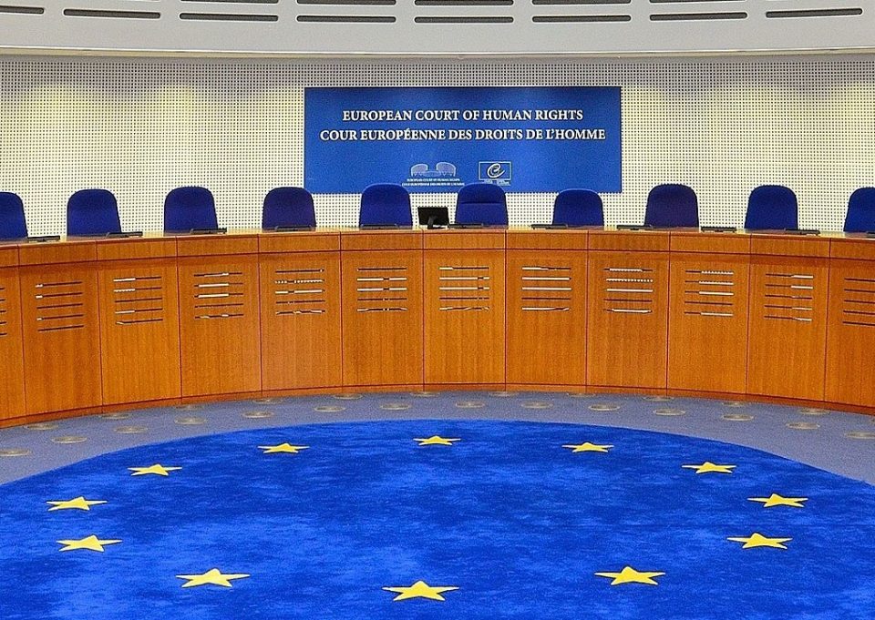 АМЮГ представила в Европейский суд письменные аргументы по делу об убийстве Гиги Отхозория