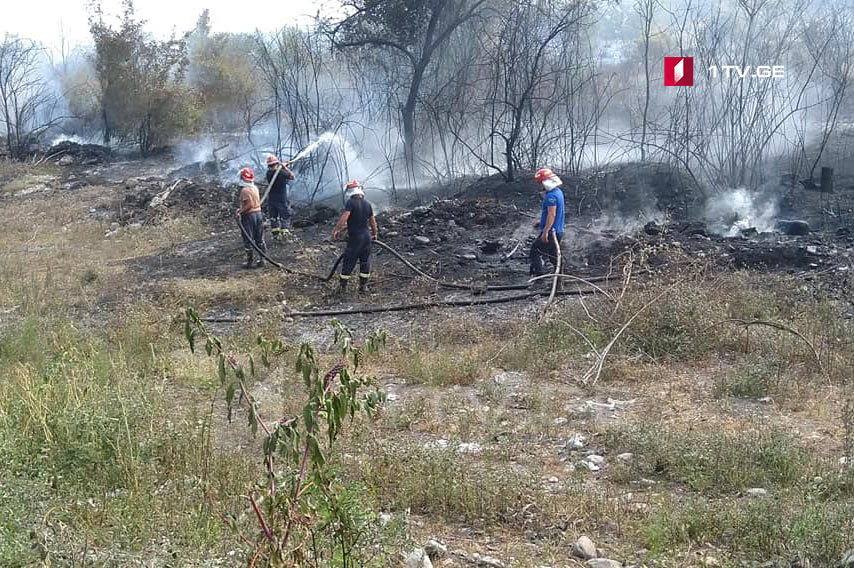 Пожар на территории села Мацими в Лагодехи локализован [фото]