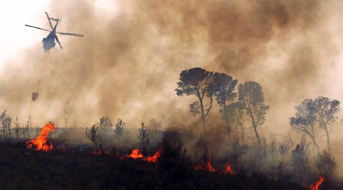 Բոլիվիայում այրվել է 500 հազար հեկտար մակերեսով անտառ