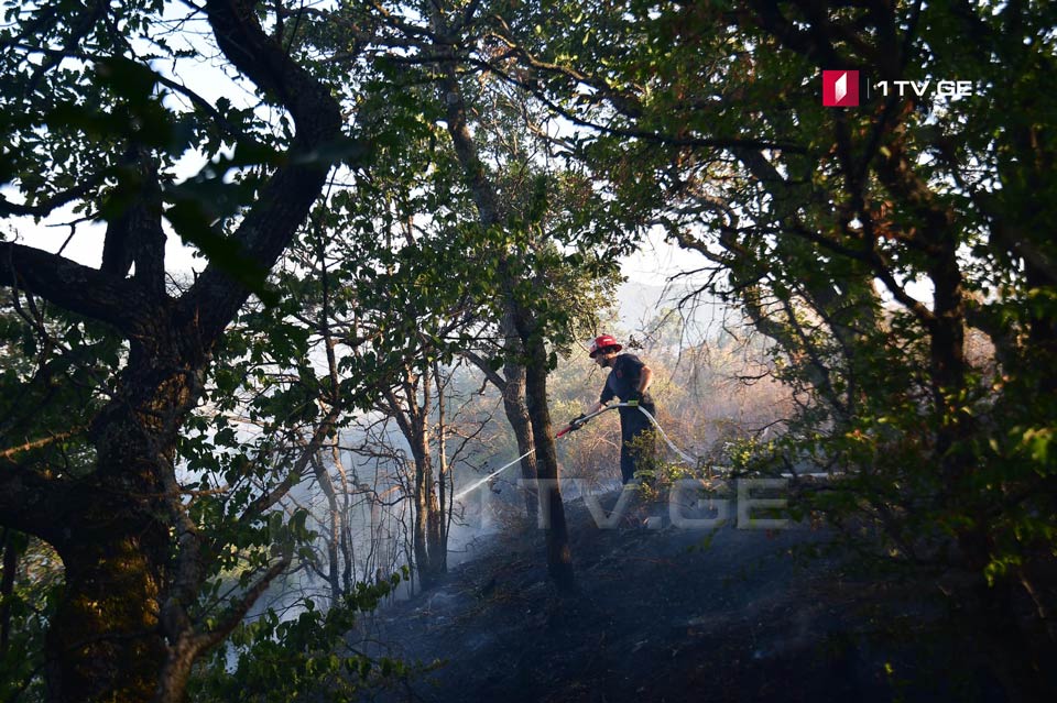Пожар в Напетвреби локализован [фото]