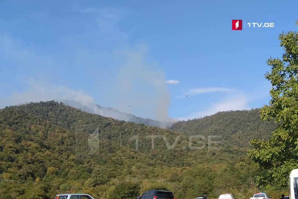 Three helicopters involved in fire-extinguishing works near Akhalsopeli