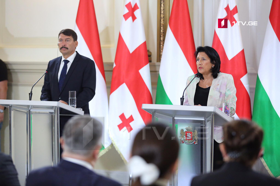 Саломе Зурабишвили - Грузия ценит поддержку Венгрией вопроса территориальной целостности страны