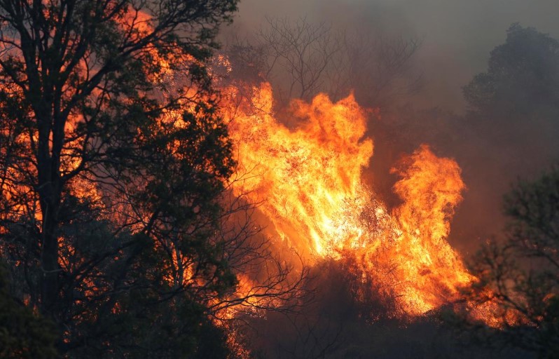 Ավստրալիայում անտառային հրդեհի հետևանքով այրվել է 21 տուն