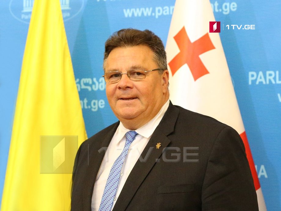 Министр иностранных дел Литвы посетит Грузию