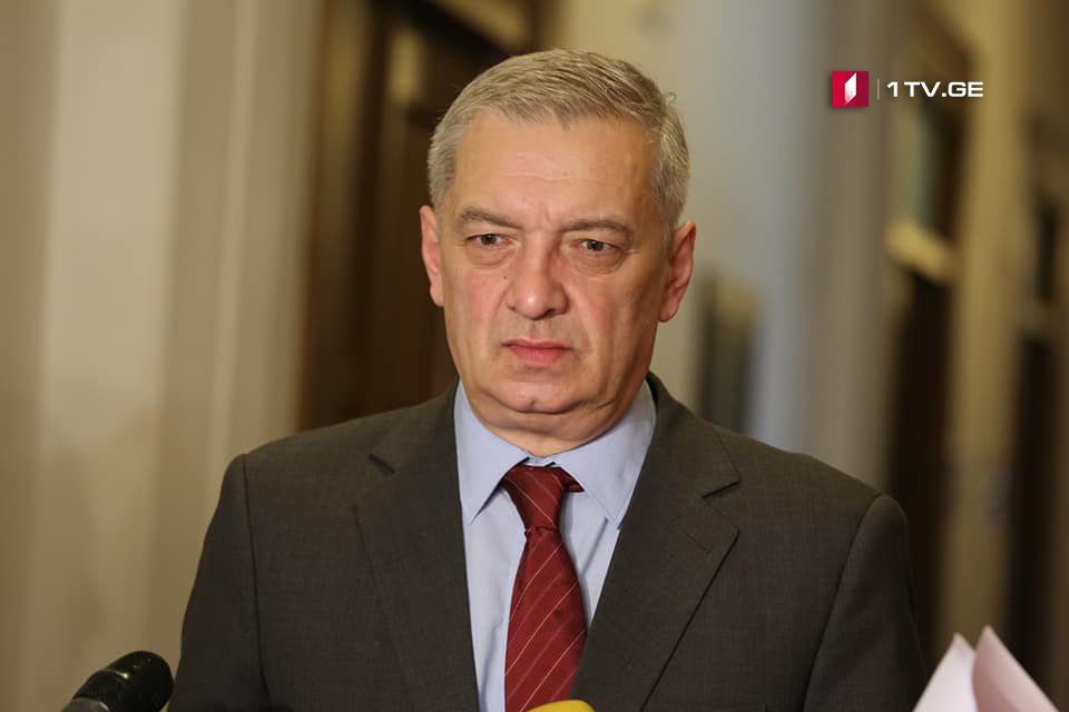 Leader of Parliamentary Majority – Insinuations invented by occupational regime regarding Vazha Gaprindashvili’s issue are improper and incorrect