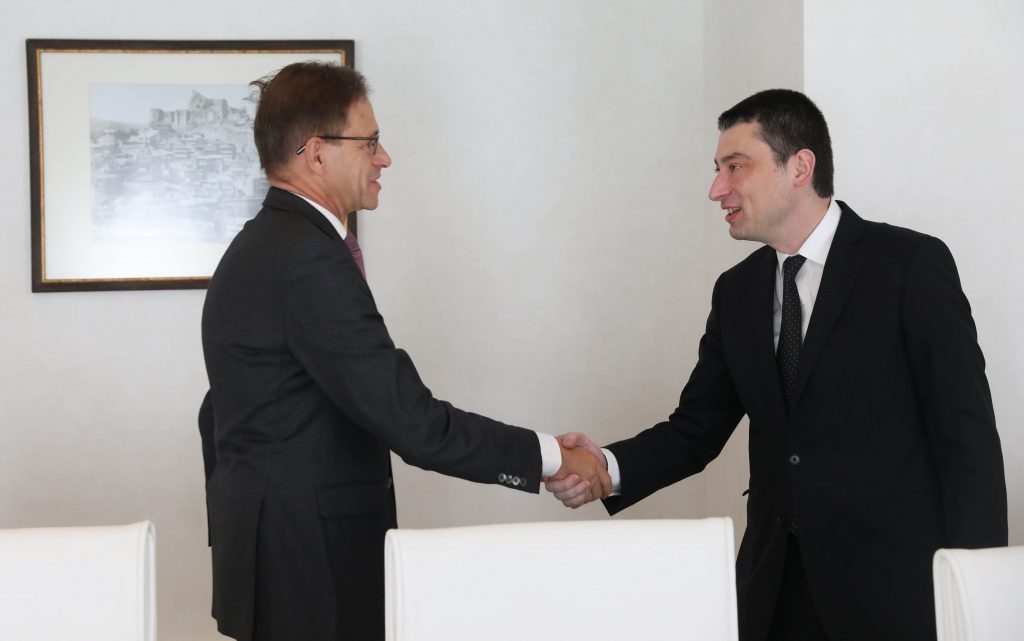 Георгий Гахария обсудил с послом Германии в Грузии важность поднятия вопроса об оккупированных территориях в международных форматах высокого уровня