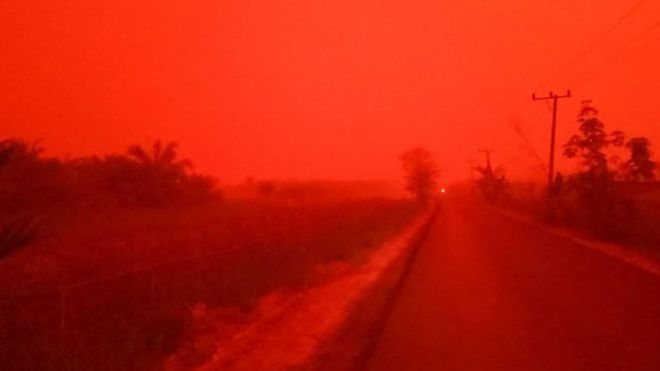Небо над индонезийской провинцией Джамби окрасилось в кроваво-красный цвет из-за лесных пожаров (фото, видео)