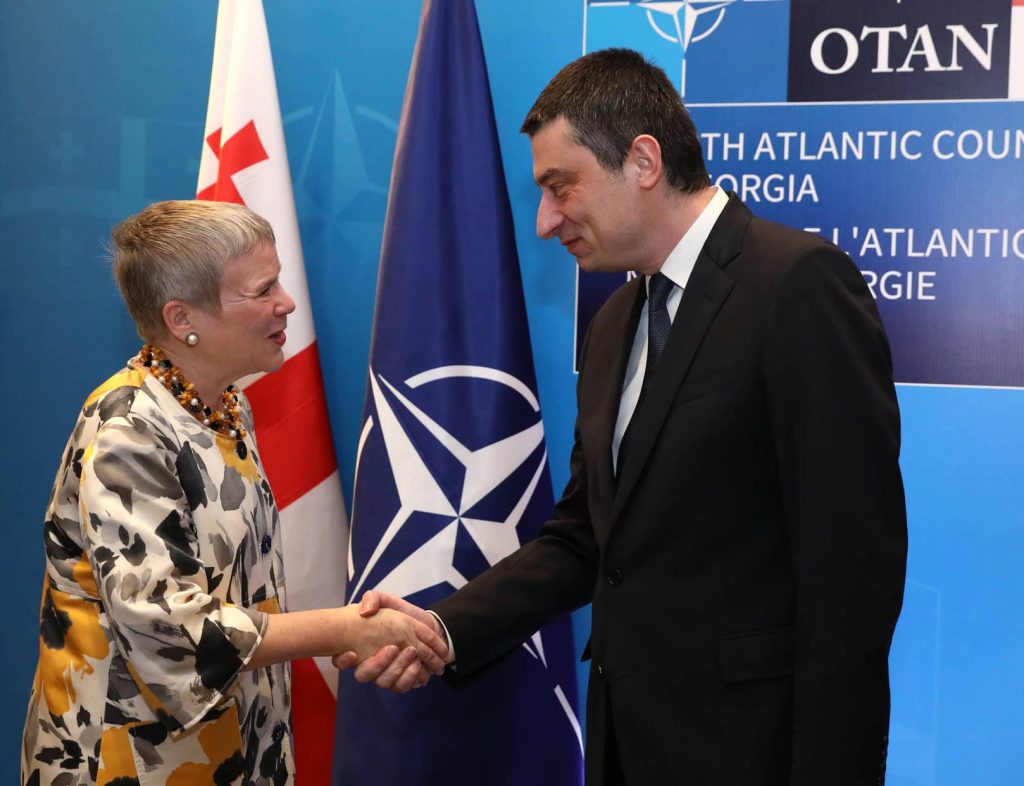 NATO strongly supports Georgia's ongoing democratic reforms