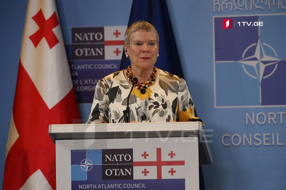 Роуз Гетемюллер - Договорились улучшить Существенный пакет НАТО-Грузия