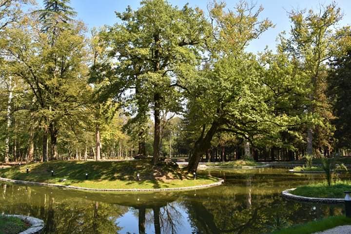 Rehabilitation works of Zugdidi Botanic Garden to be complete in 3 weeks