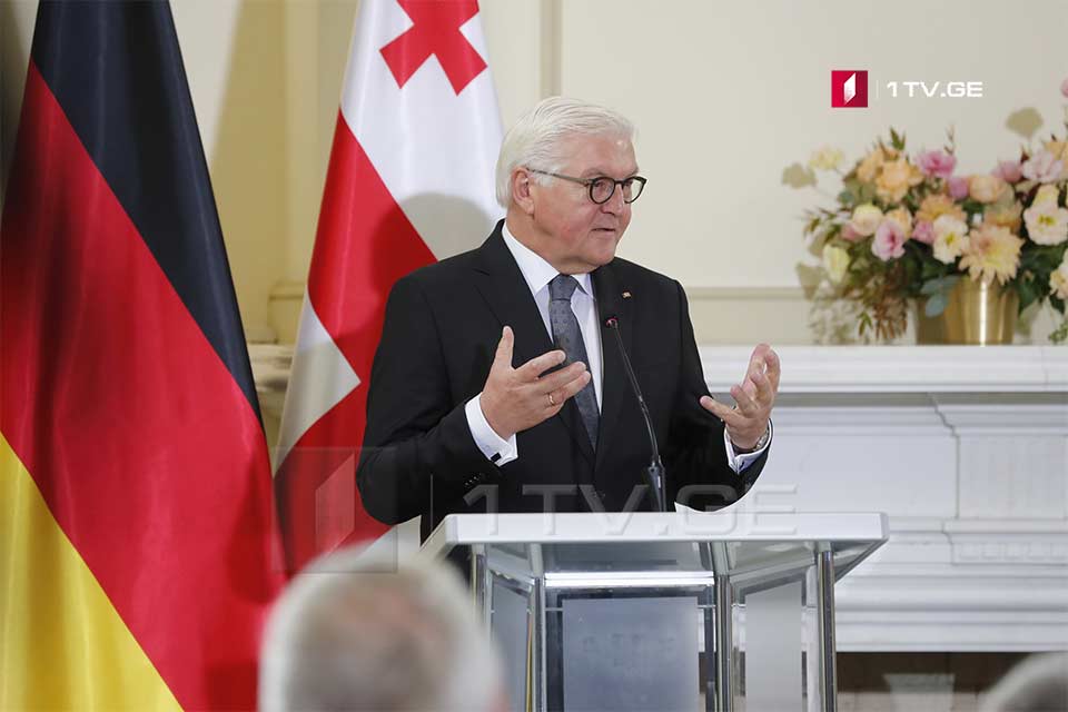 Frank-Walter Steinmeier: Path of independence is unwavering will of Georgians to establish democratic, free state