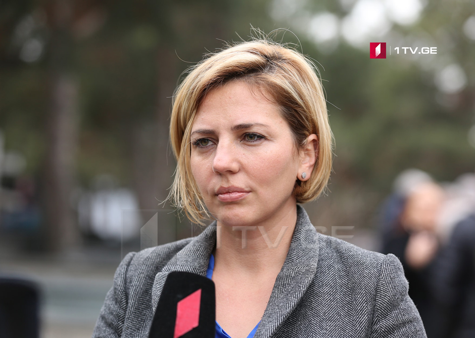 Ana Dolidze urges Government to declare Davit Gareji as protected area
