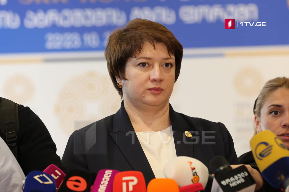 Майя Цкитишвили не ожидает никаких изменений в правительстве