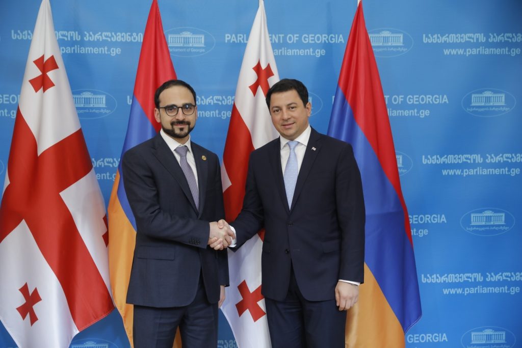 Վրաստանի խորհրդարանի նախագահը հանդիպել է Հայաստանի փոխվարչապետին