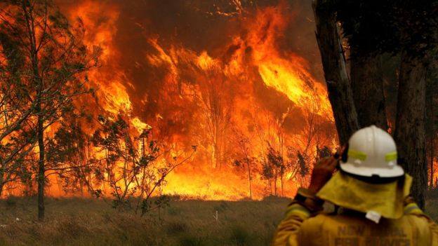 Australian bushfires killed three people