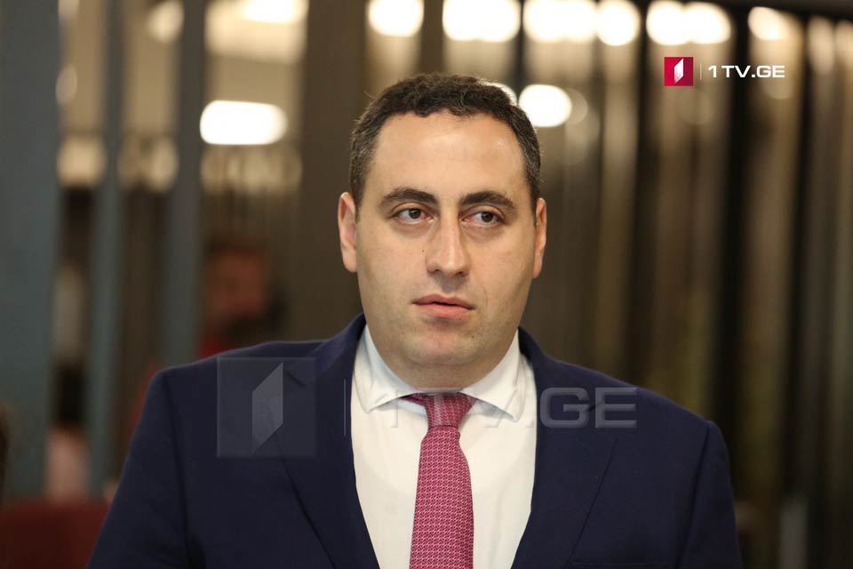 Оппозиционные партии требуют отставки Георгия Гахария и досрочных парламентских выборов