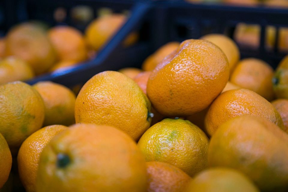 Из Грузии за пять месяцев было экспортировано мандаринов на сумму 17,5 млн долларов