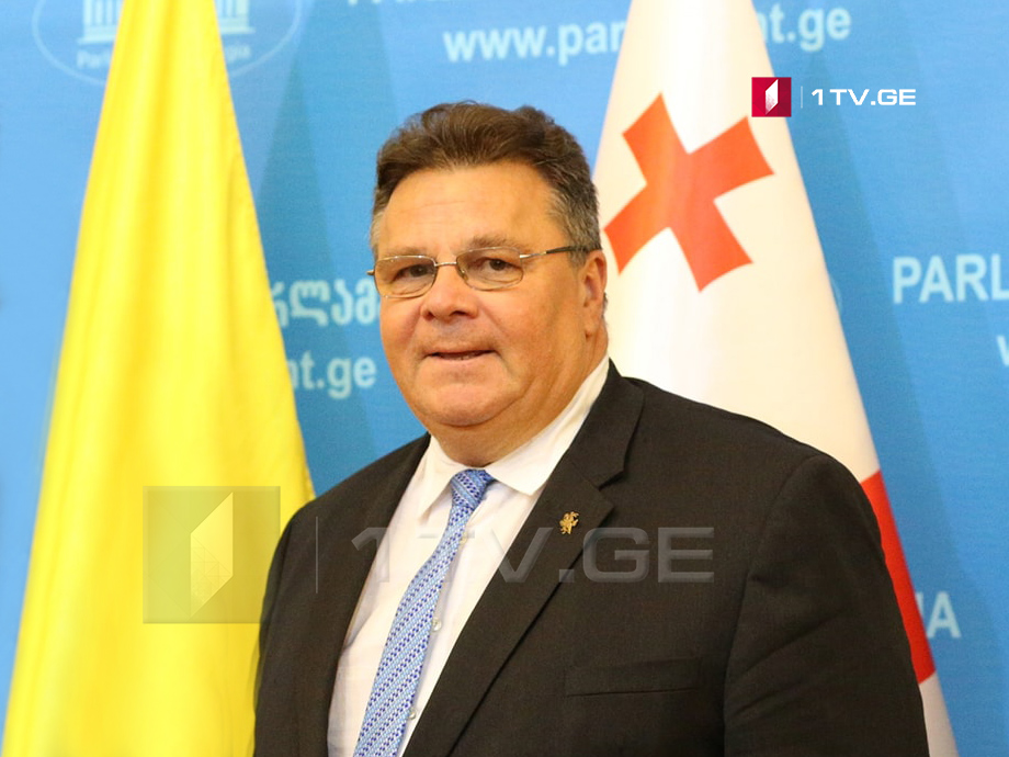 Linas Linkevicius: Judiciary shouldn’t be used to persecute the opposition
