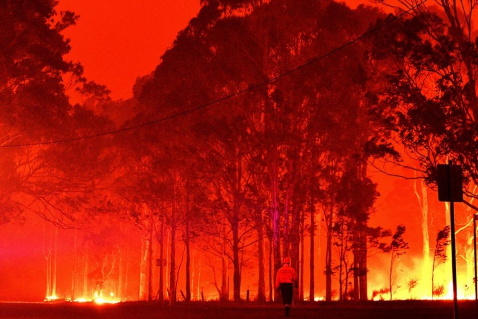 В Австралии была проведена эвакуация населения двух штатов из-за бушующих пожаров
