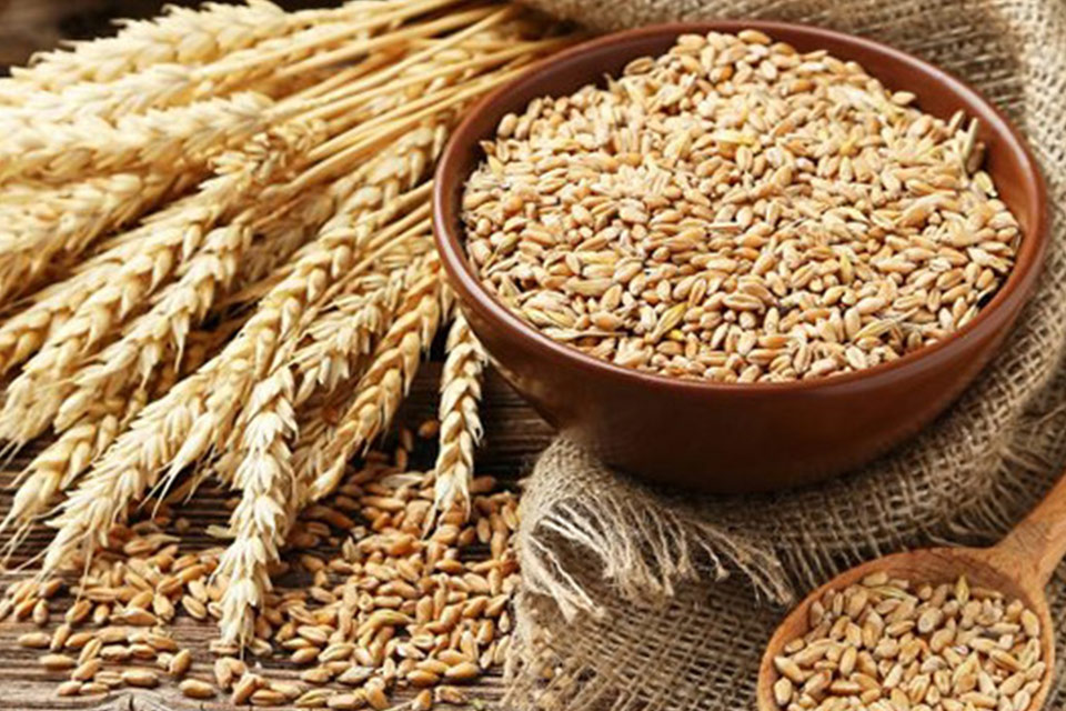 More than 10,000 tons of wheat imported into Georgia