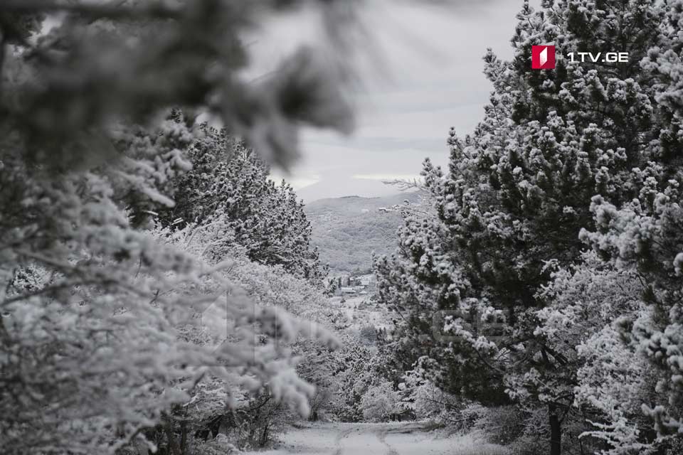 В Тбилиси и его окрестностях пошел снег (фото)