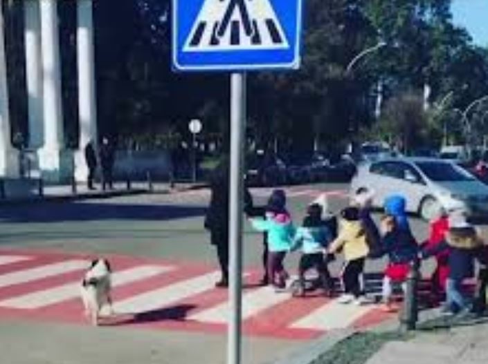 "ABC News" распространяет снятое в Батуми видео, в котором собака помогает детям переходить дорогу