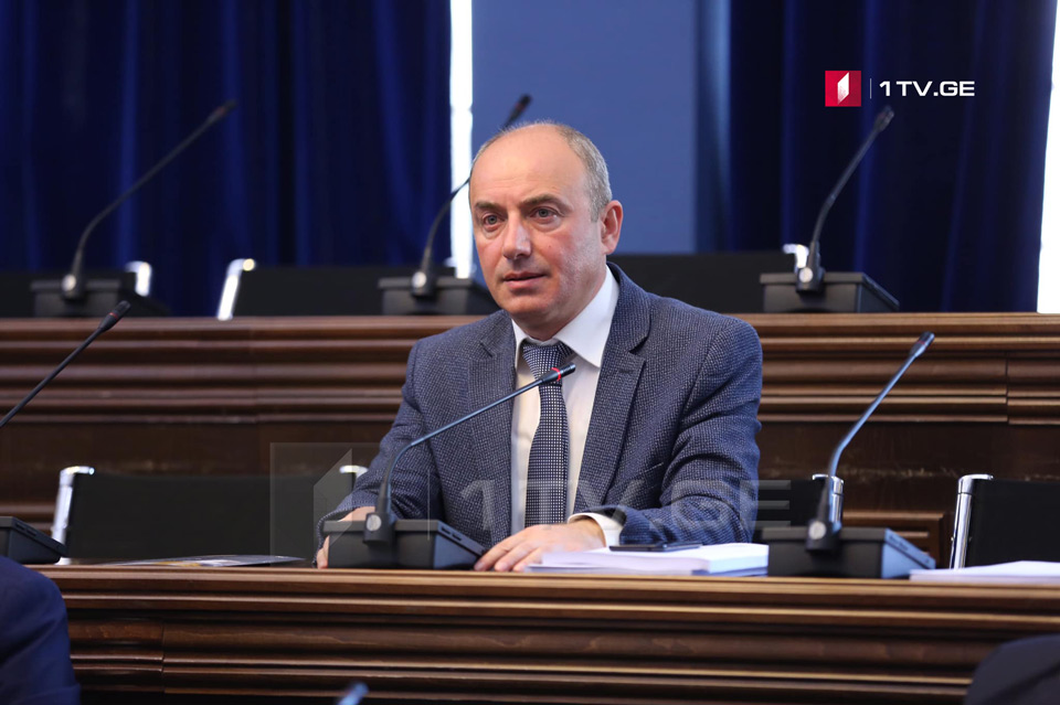 MP Macharashvili quits Georgian Dream