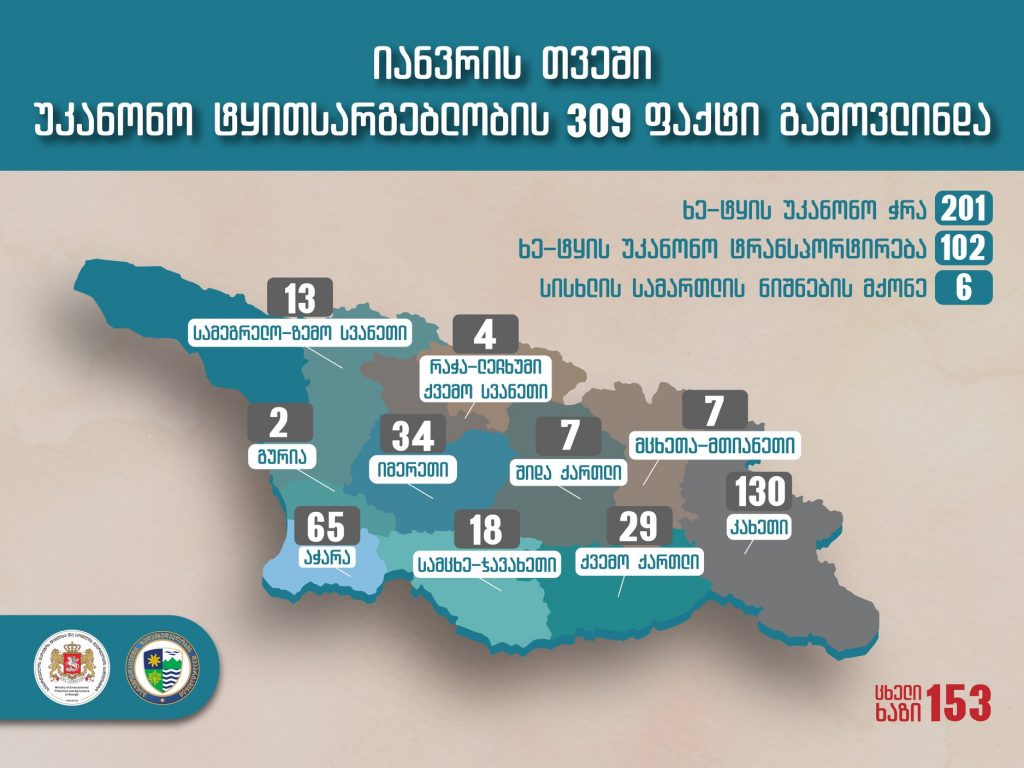 Վրաստանում, հունվարին գրանցվել է անօրեն ծառահատման և փոխադրման 309 դեպք, այստեղից 18-ը՝ Սամցխե-Ջավախքում