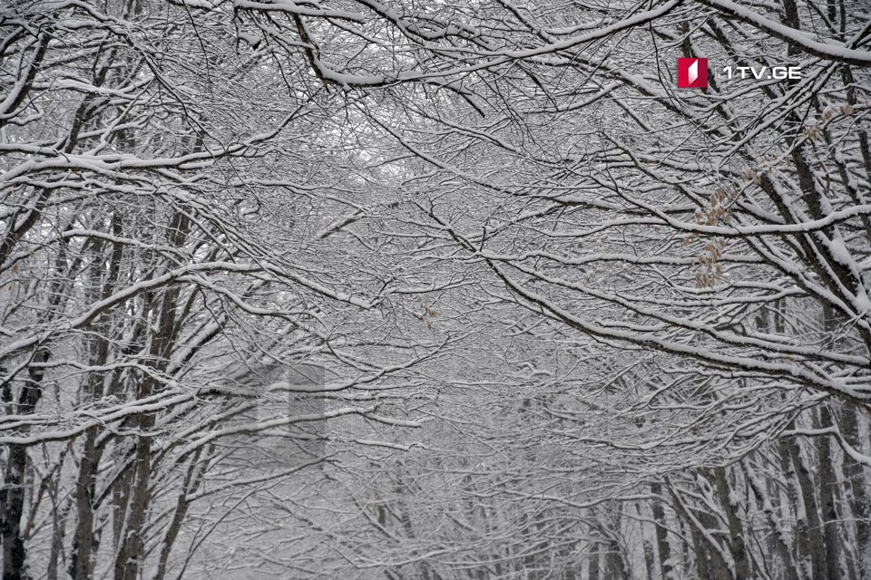 15 fevrala qədər Gürcüstanda qar və aşağı temperatur gözlənilir