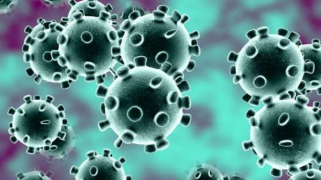 American scientists create a coronavirus vaccine