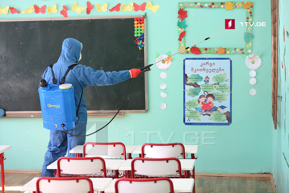 В масштабах Грузии в школах начались дезинфекционные работы по профилактике коронавируса