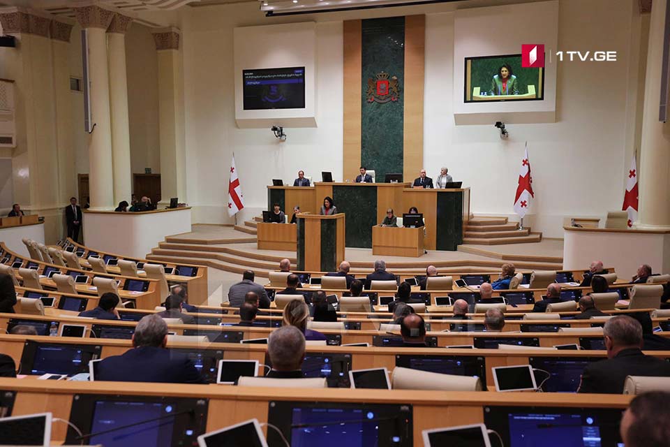 Парламент Грузии поддержал введение чрезвычайного положения на всей территории страны